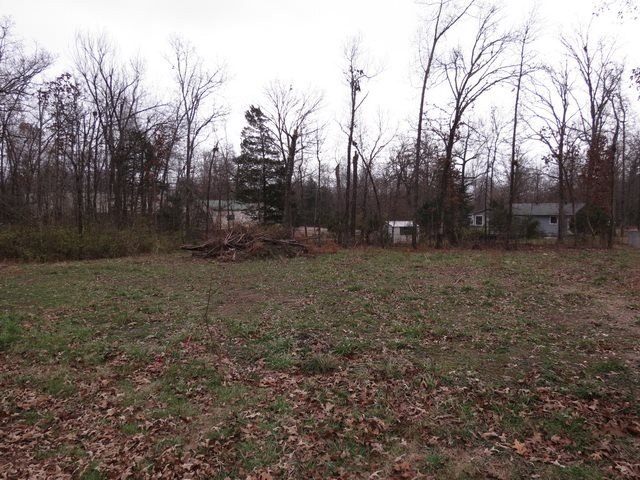 Picture 4