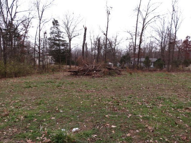 Picture 2