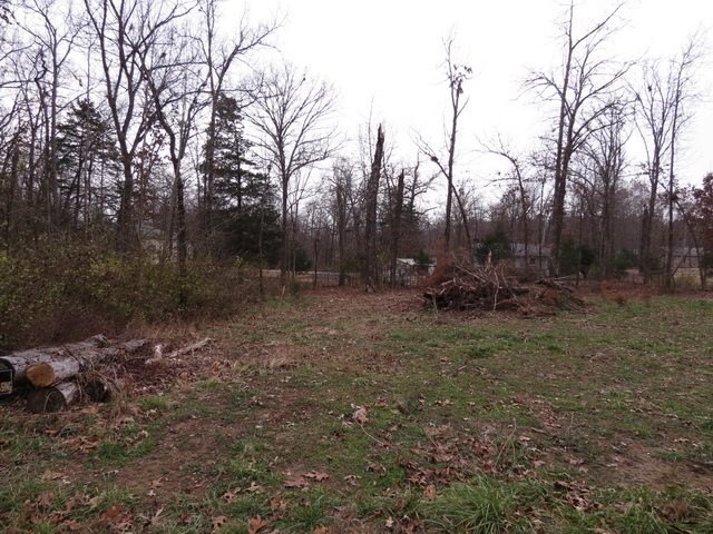 Picture 5