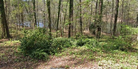Land, Waverly Hall, GA