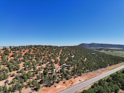 20 Acres Land in Cedar