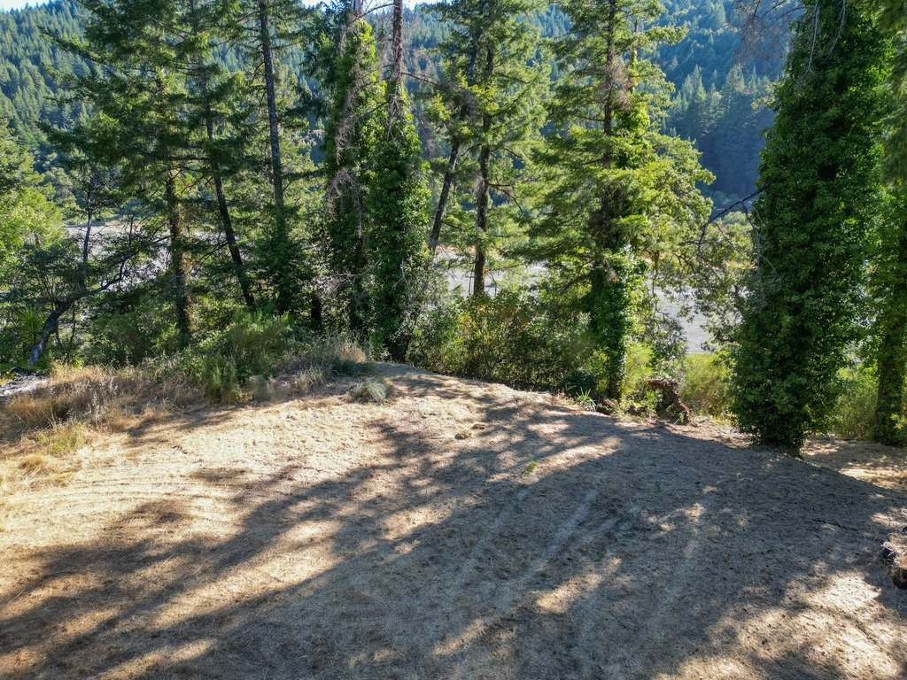 Picture 29