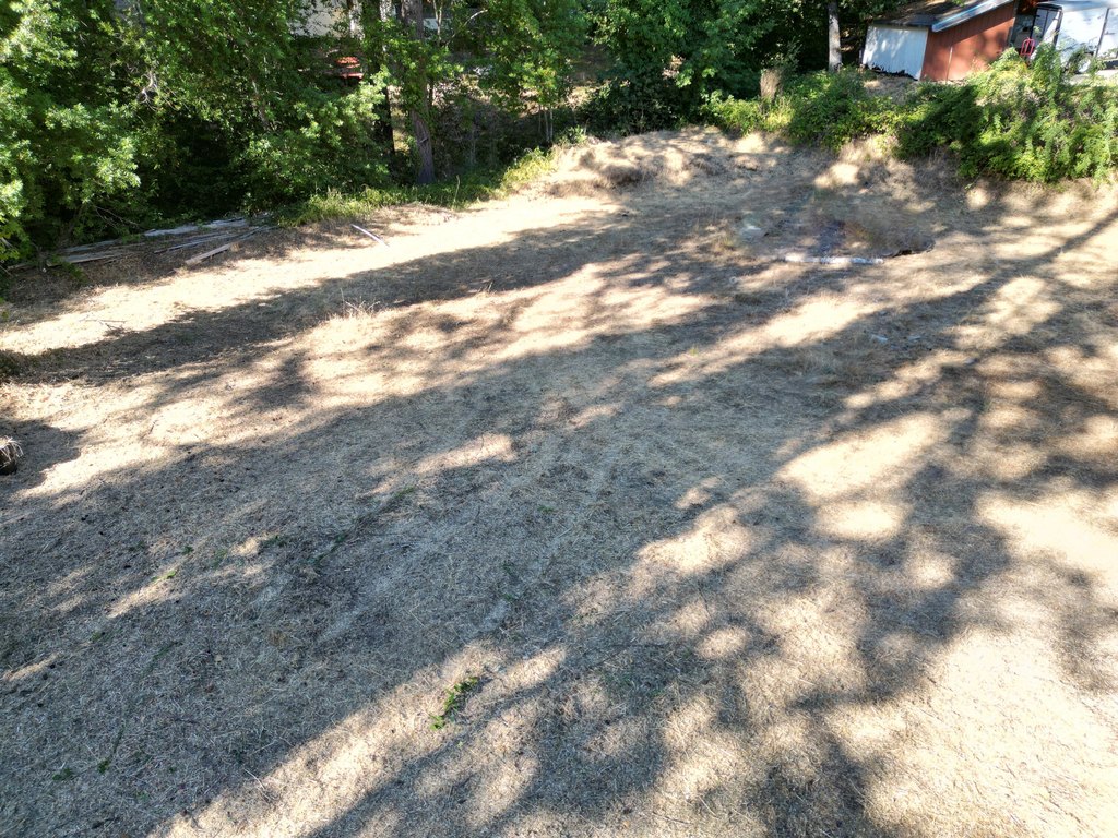 Picture 26