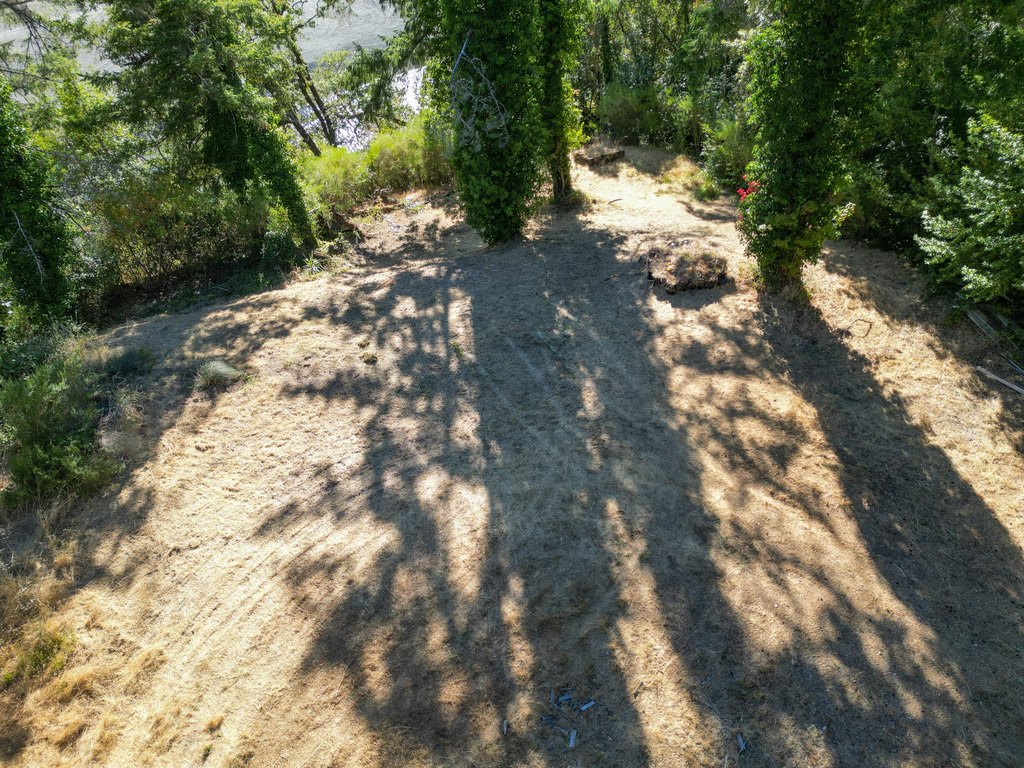 Picture 25