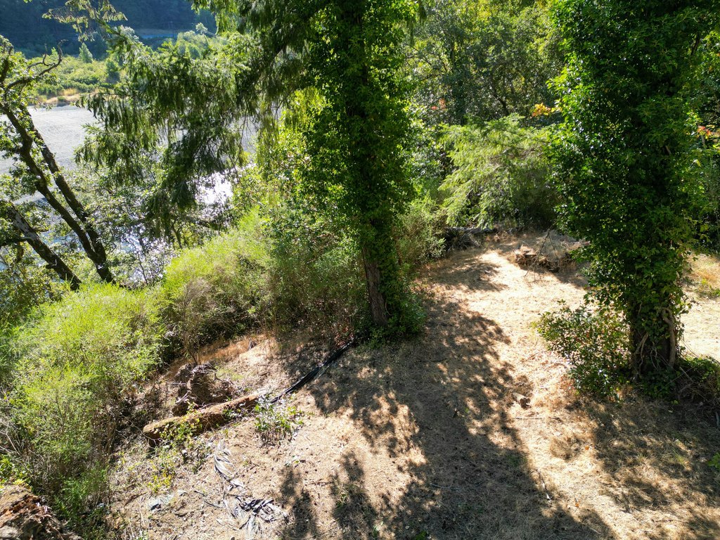 Picture 27