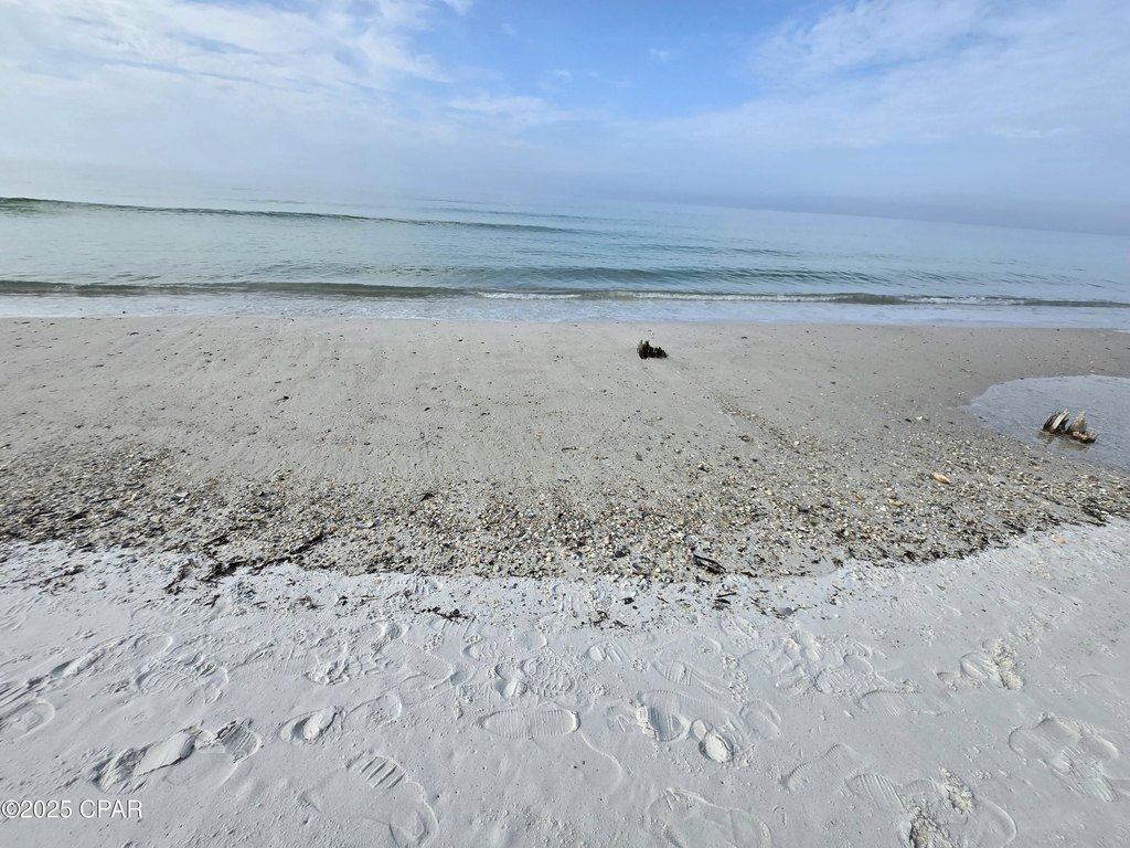 Picture 11
