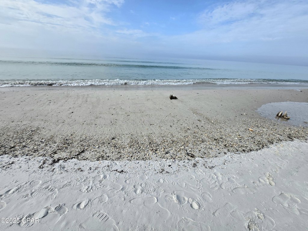 Picture 10