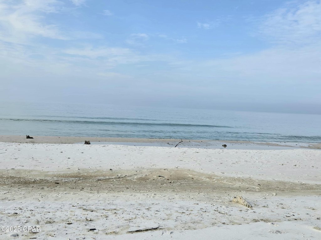 Picture 8