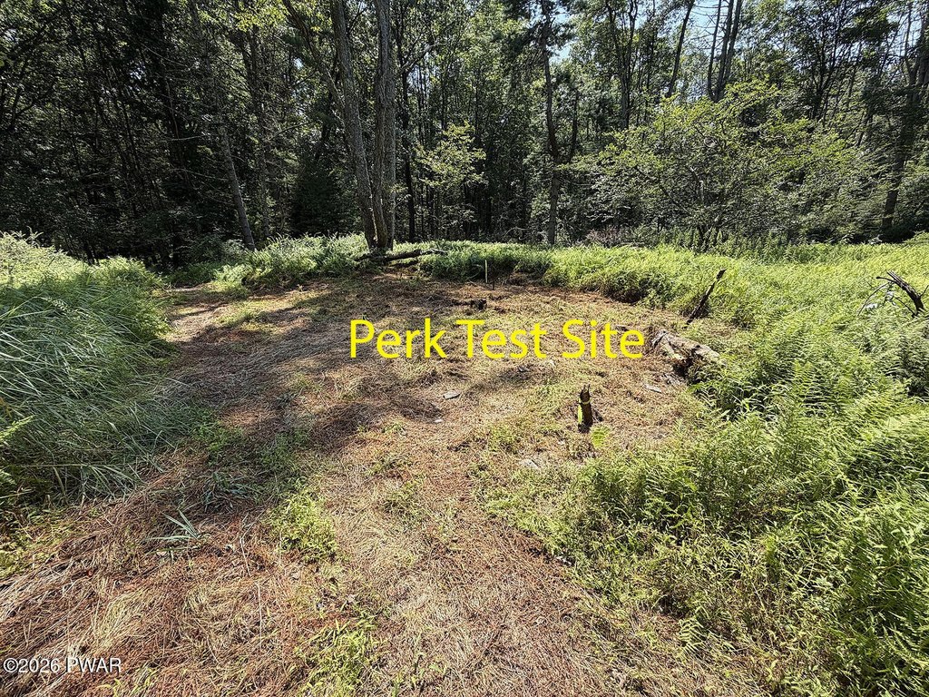 Picture 19