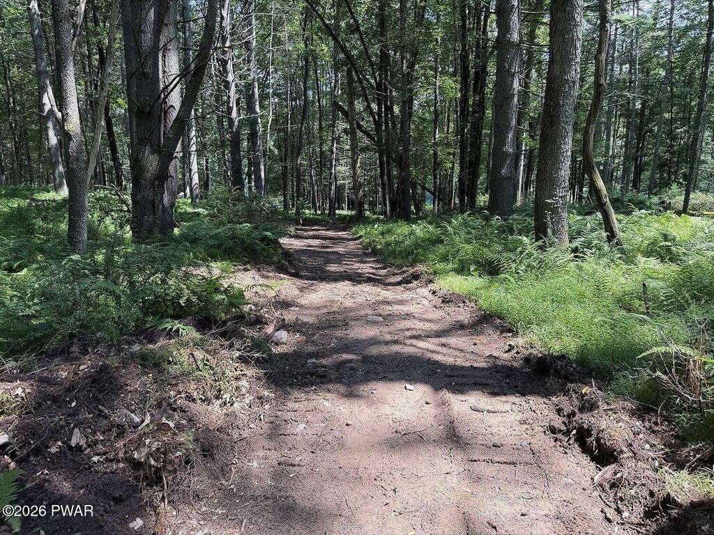 Picture 16