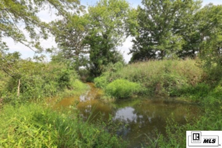 Picture 23