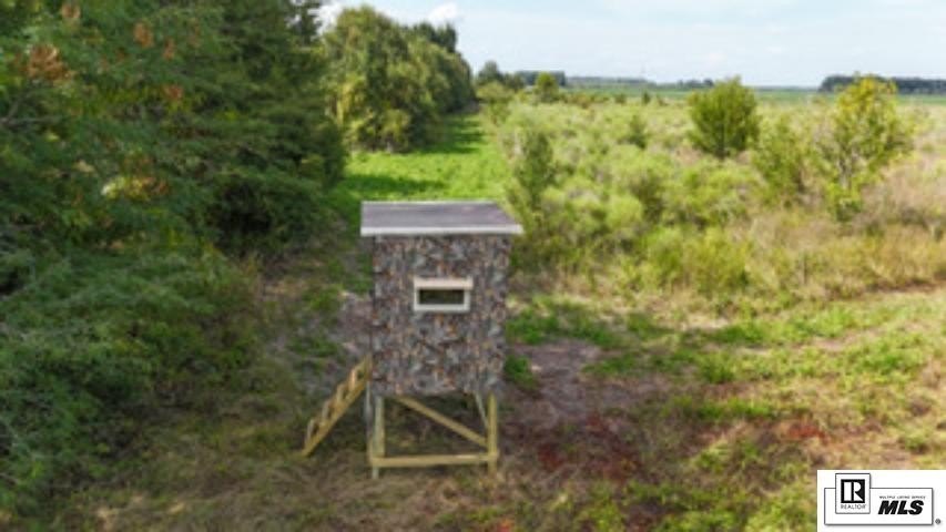 Picture 12