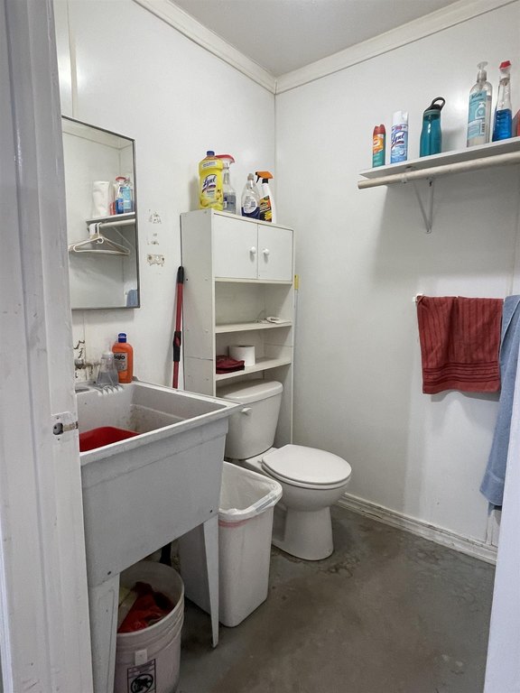 Picture 21