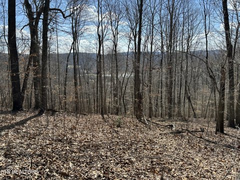 Sharps Chapel Mountain Ridge Acreage