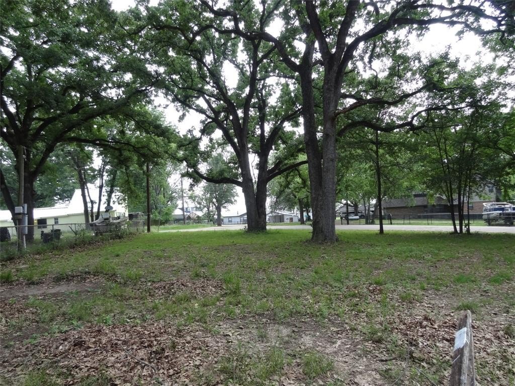 Picture 5