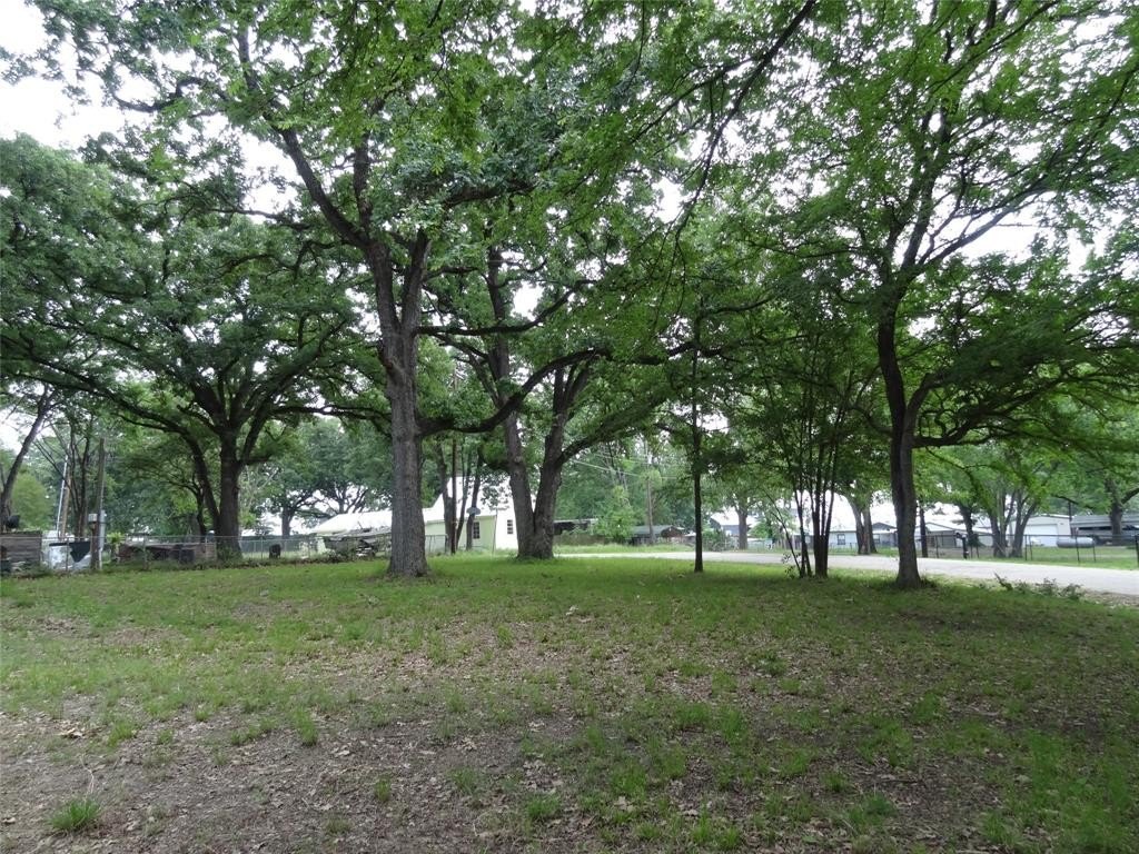 Picture 3