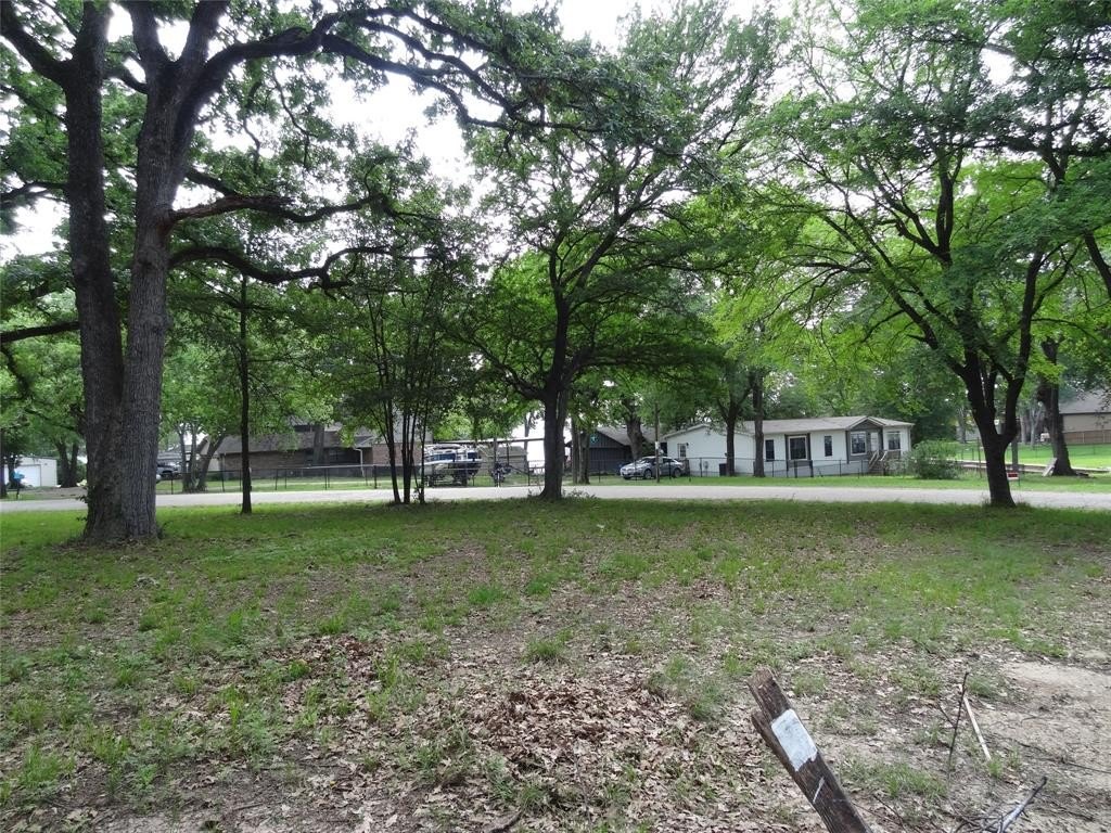 Picture 6
