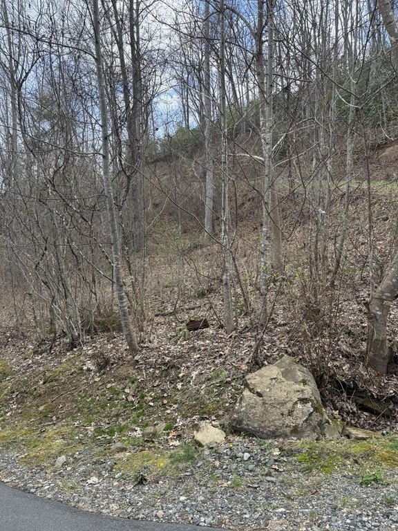 Picture 4