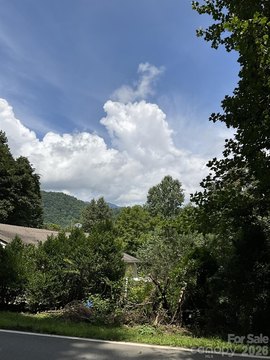 Wooded Mountain Land Parcel