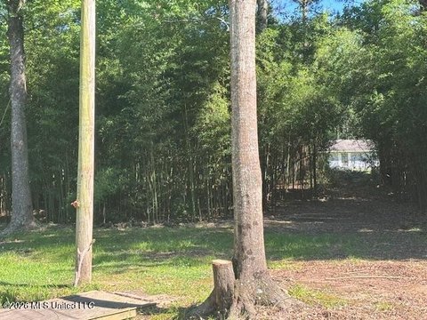 LAND - Tylertown, MS