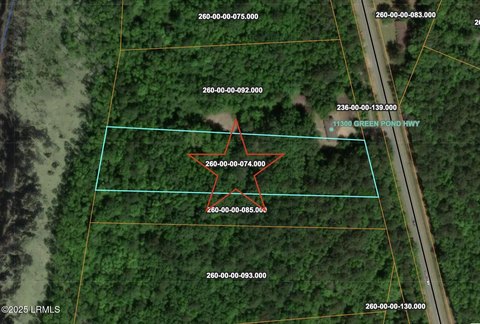 Vacant Land in Walterboro, SC