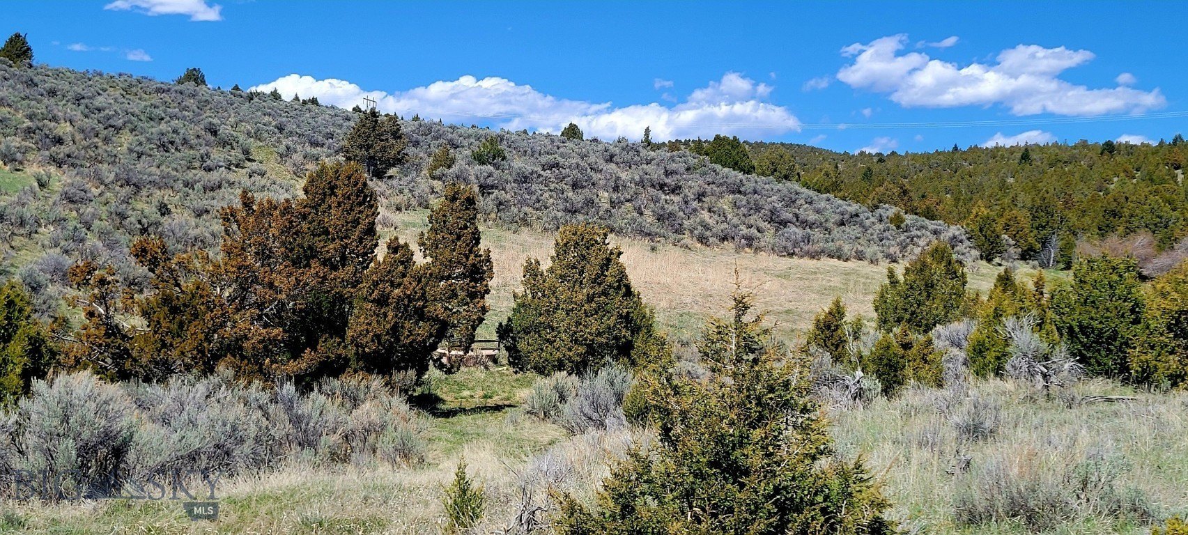 Montana Land with Panoramic Views