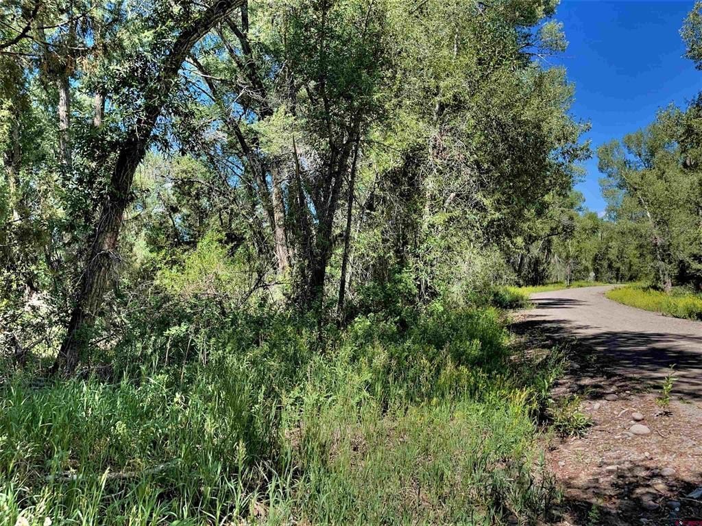 Land For Sale, South Fork