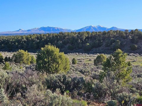 Hesperus, CO Land For Sale