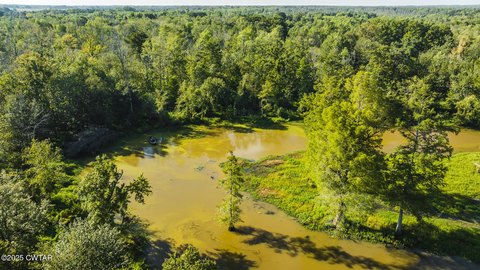 Trenton, TN Hunting Land