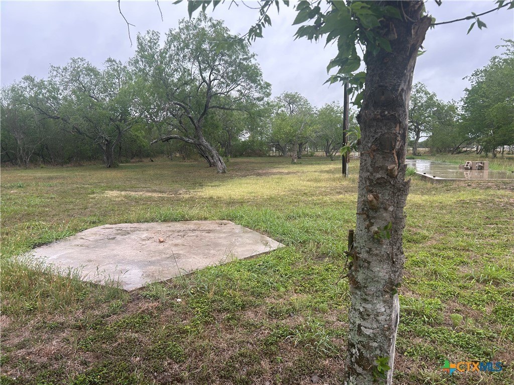 Picture 17