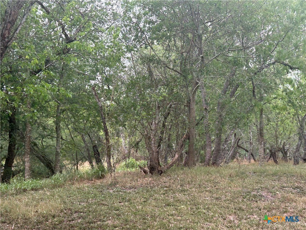 Picture 12