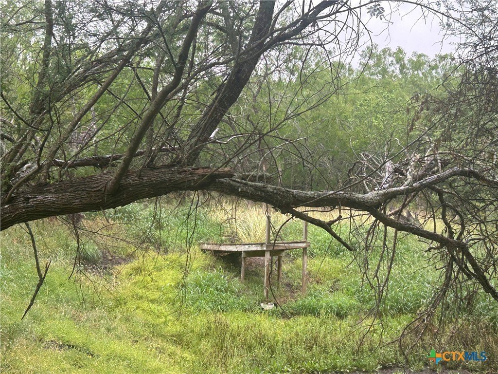 Picture 14