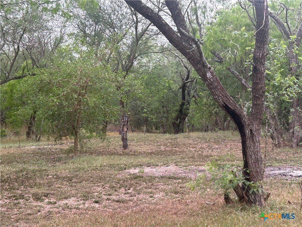 Picture 8