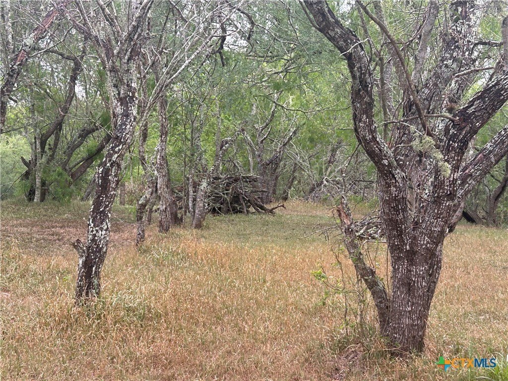 Picture 10
