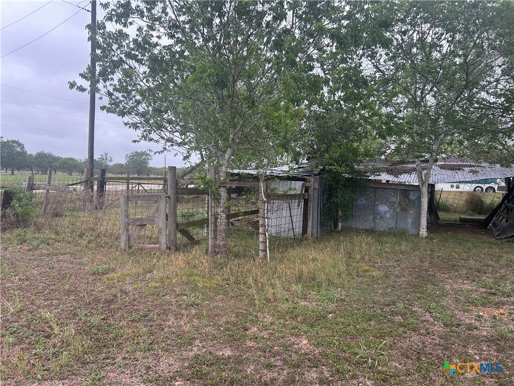 Picture 19