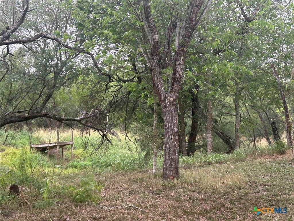 Picture 11