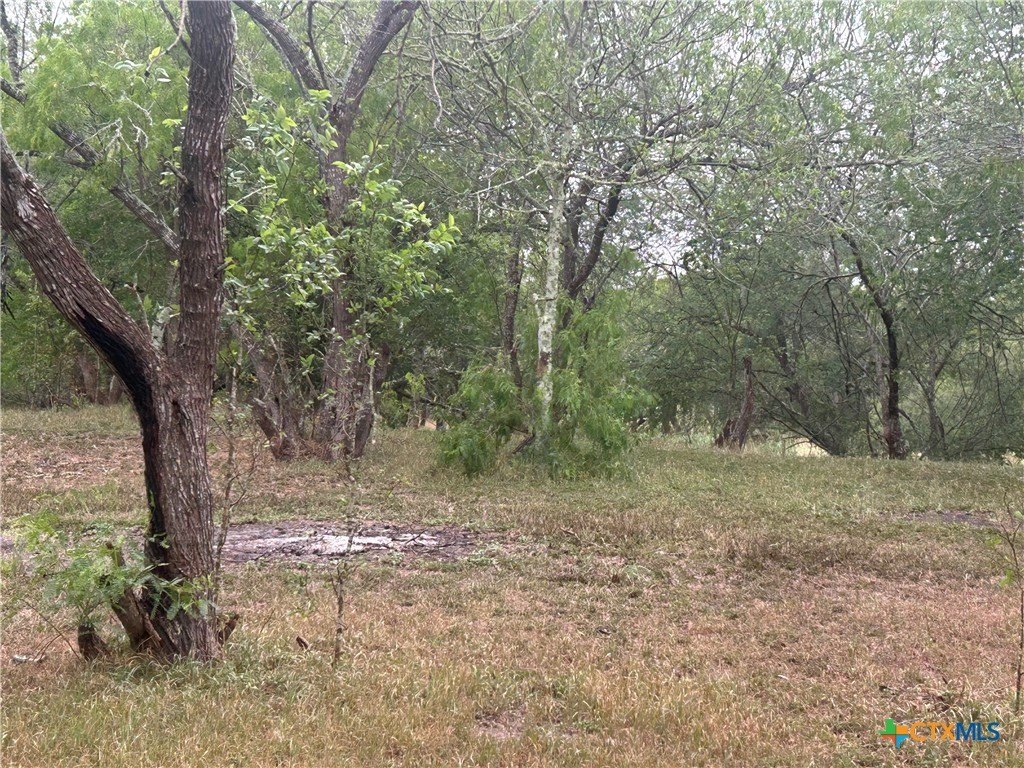 Picture 9