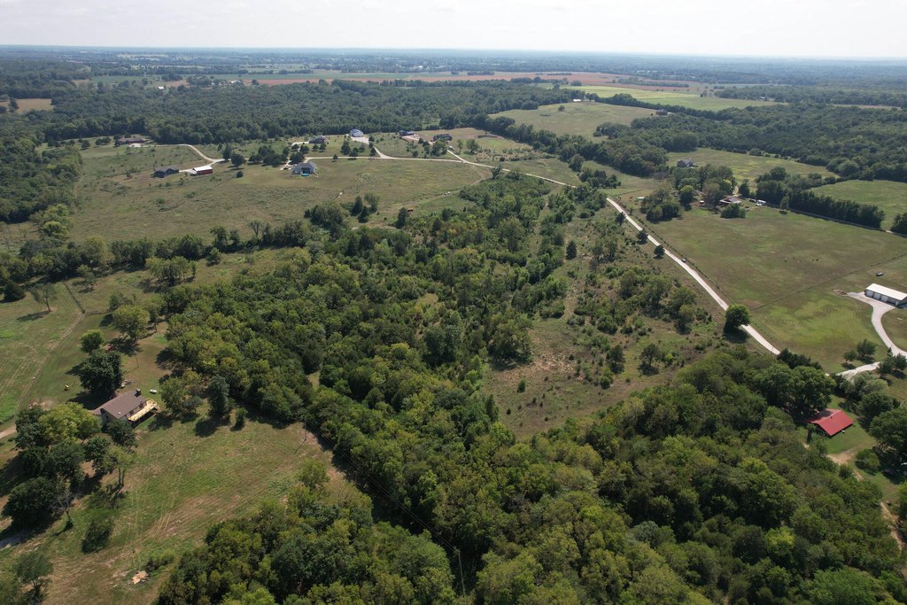 Picture 14