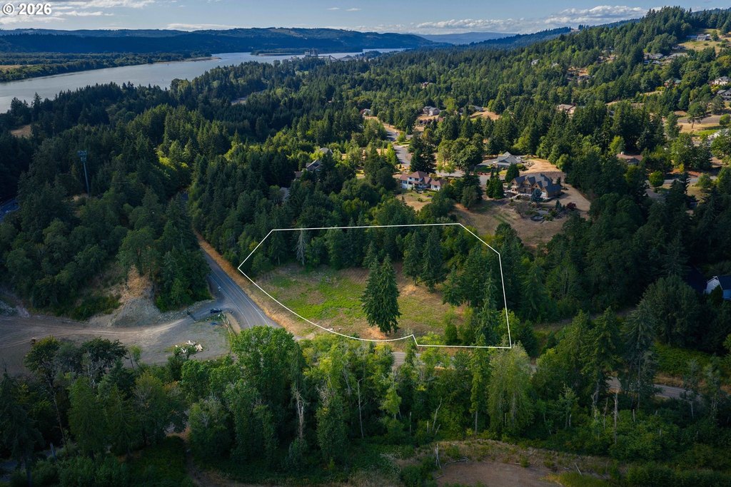 Picture 13