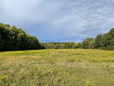 Land, Foreston, MN