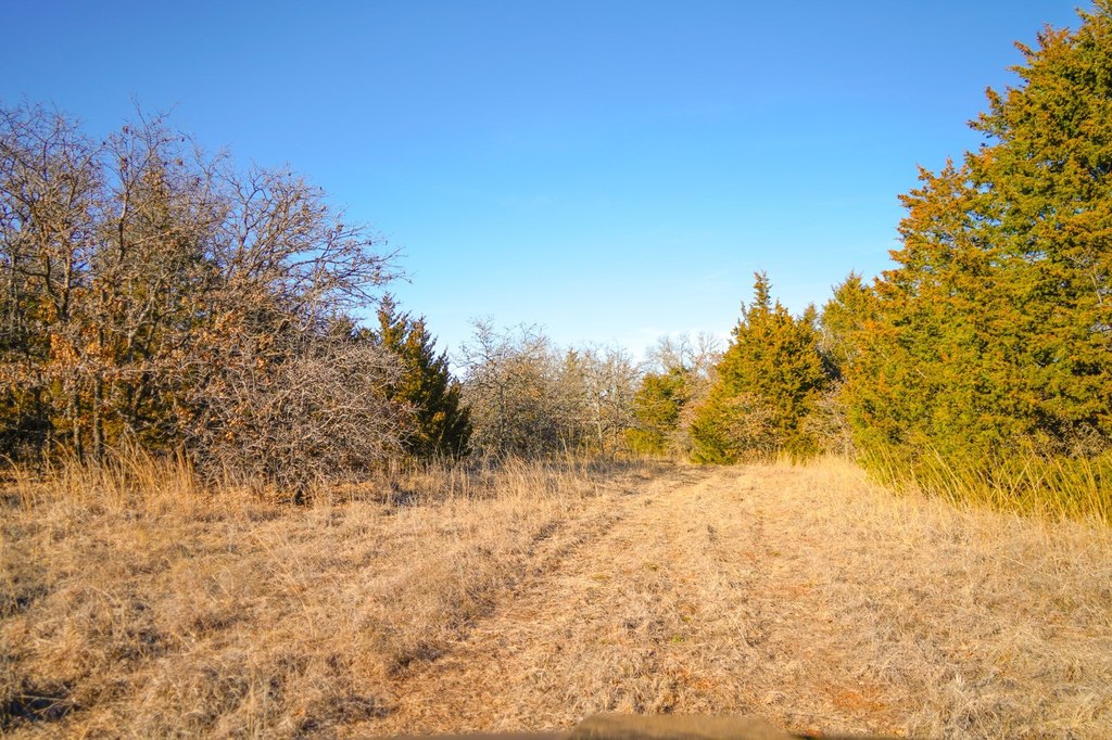 Picture 8