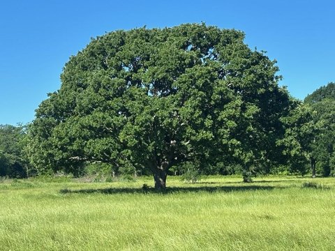 14 Acres with River Frontage