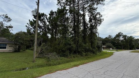 LAND - PALM COAST, FL