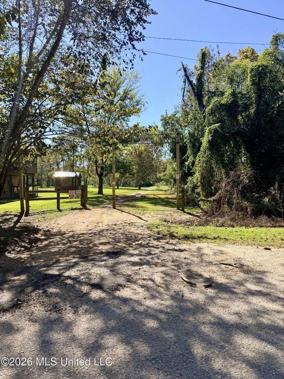 Picture 21
