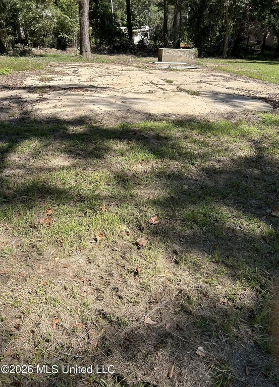 Picture 15