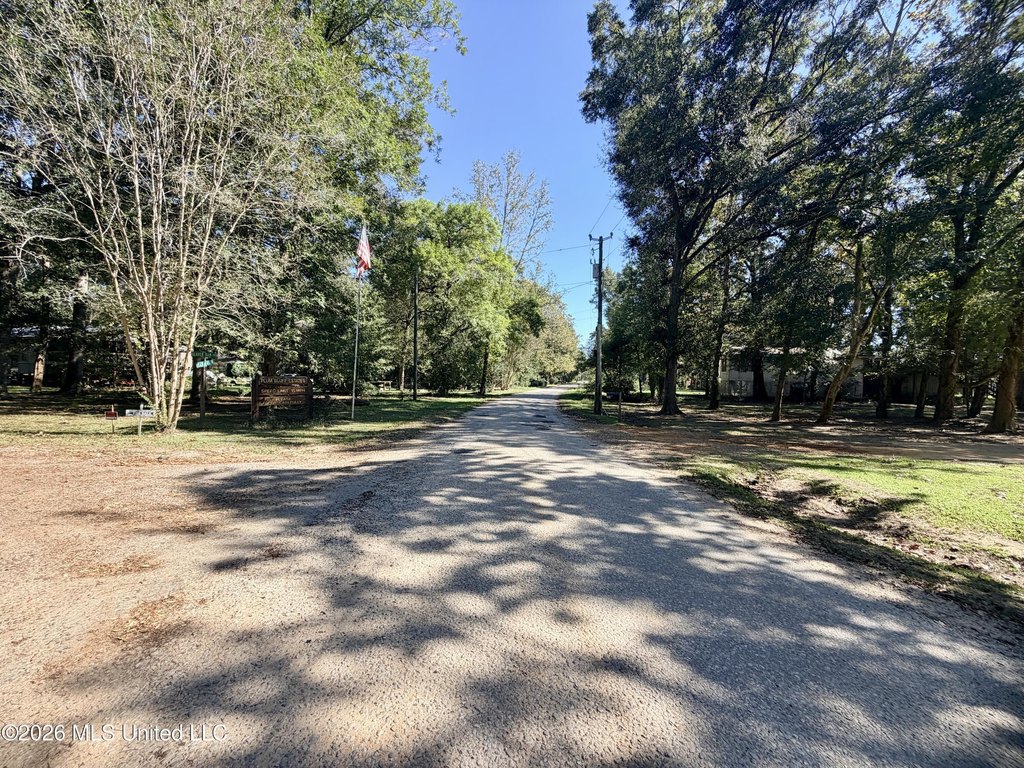 Picture 24