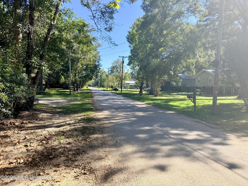 Picture 19