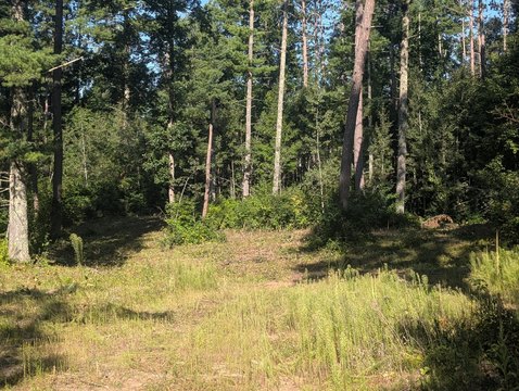 LAND - Springbrook, WI