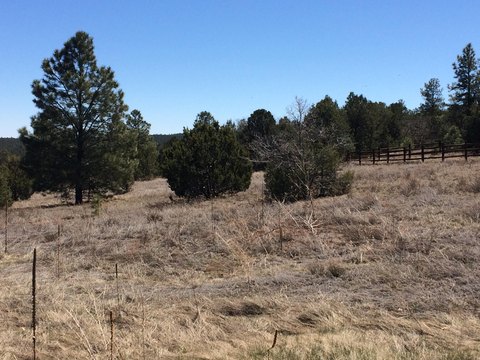 LAND - Tijeras, NM