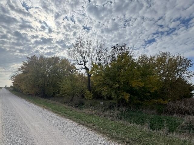 Picture 24
